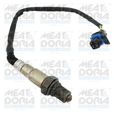Oxygen Sensor